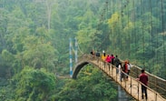 people walking on hanging bridge during daytime
