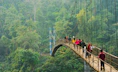 people walking on hanging bridge during daytime