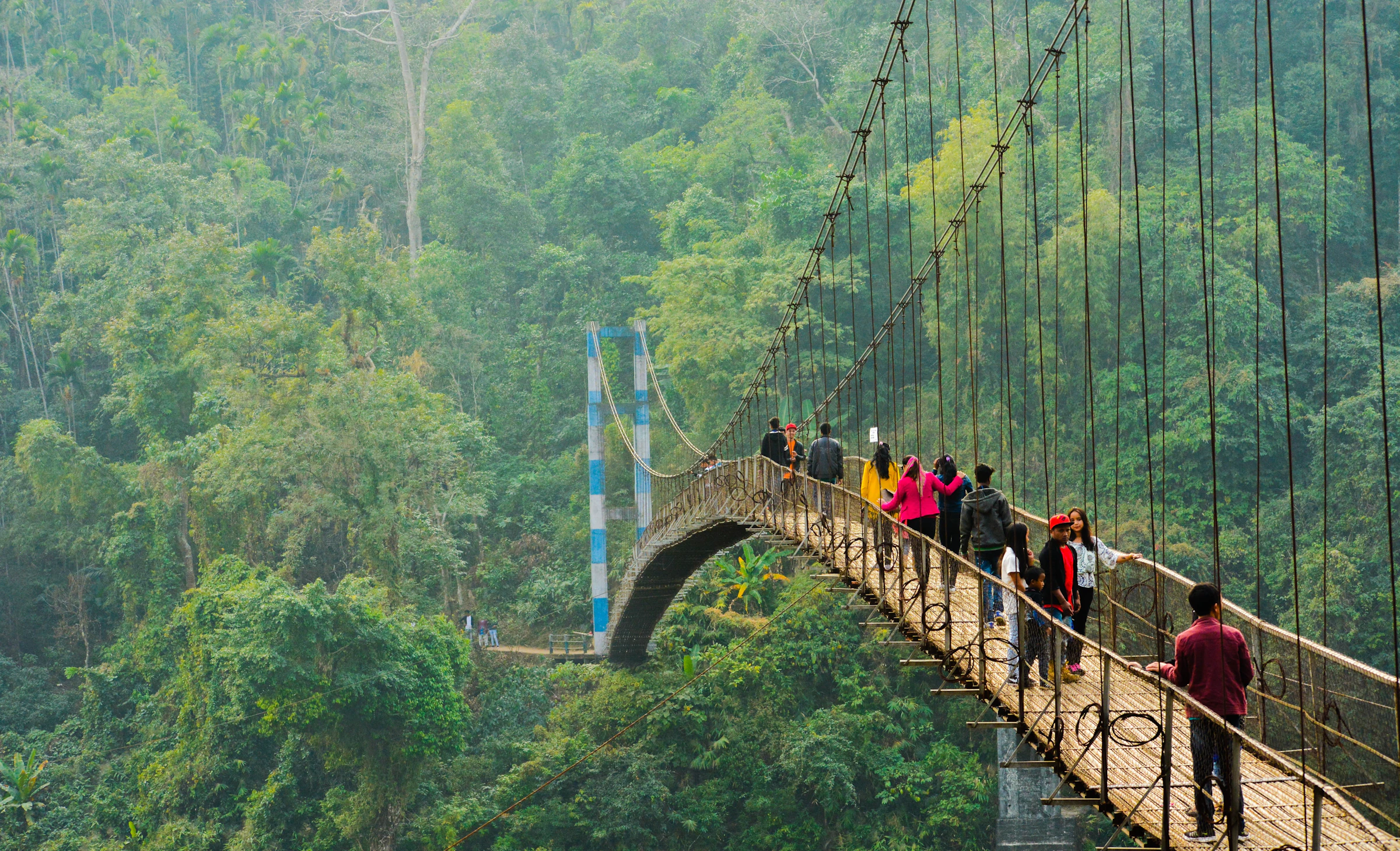 Travellers crossing a hanging bridge in the Meghalaya forest