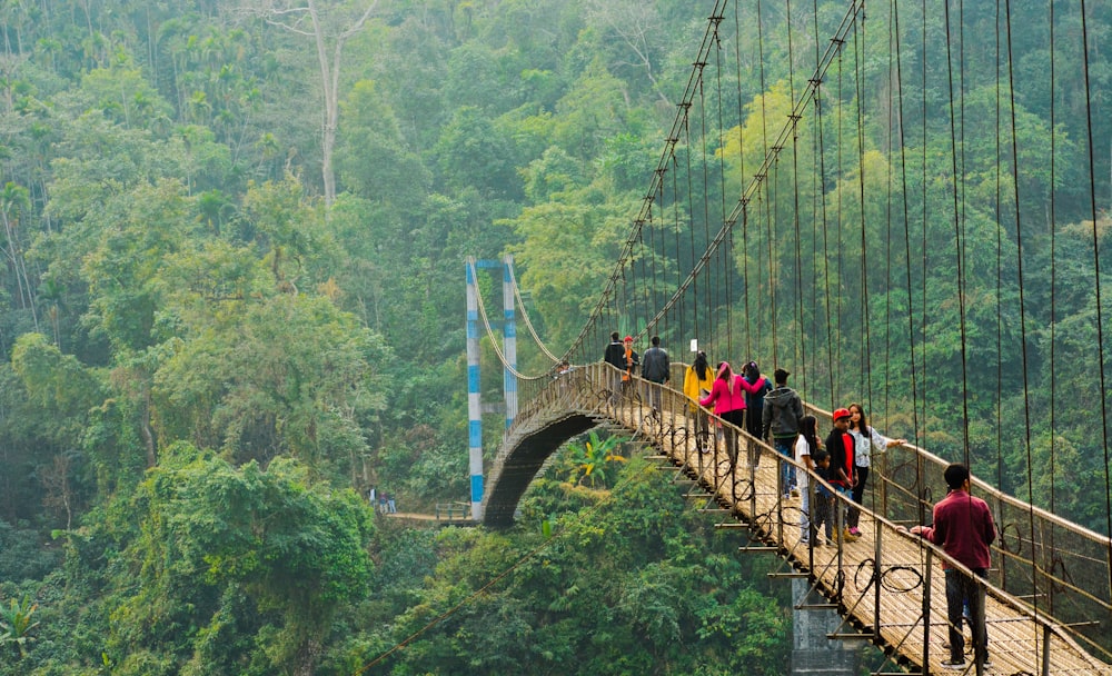 people walking on hanging bridge during daytime