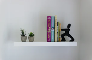 A minimalist wooden bookshelf filled with books and small plants against a white wall.