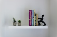 A minimalist shelf in a dorm room stacked with textbooks and personal trinkets.
