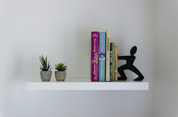 A sleek minimalist bookshelf in light wood, styled with a few art books and a small plant.
