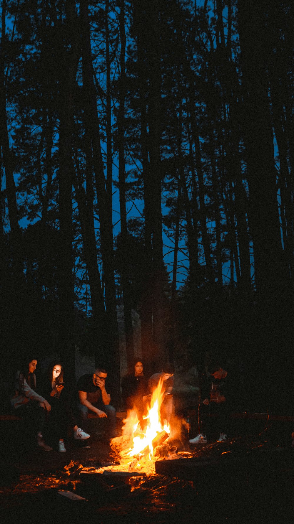 people in forest during night time