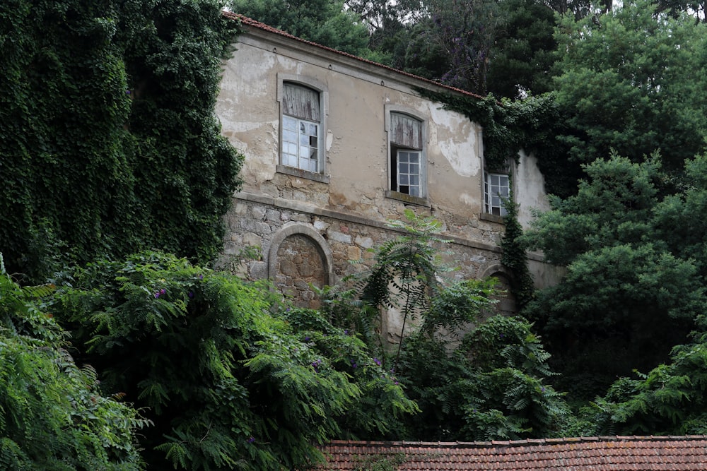 green plants beside brown concrete building during daytime