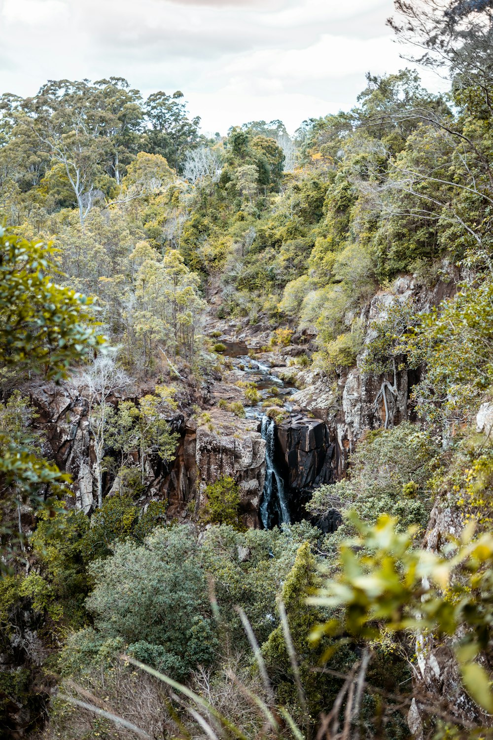 green trees near brown mountain during daytime