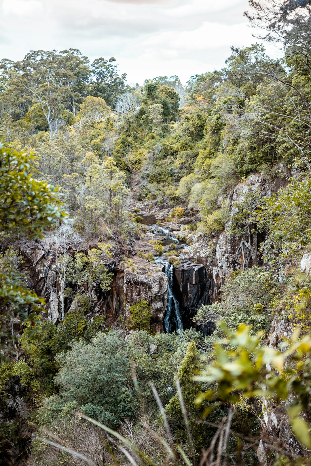 Nature reserve photo spot Gold Coast Springbrook QLD