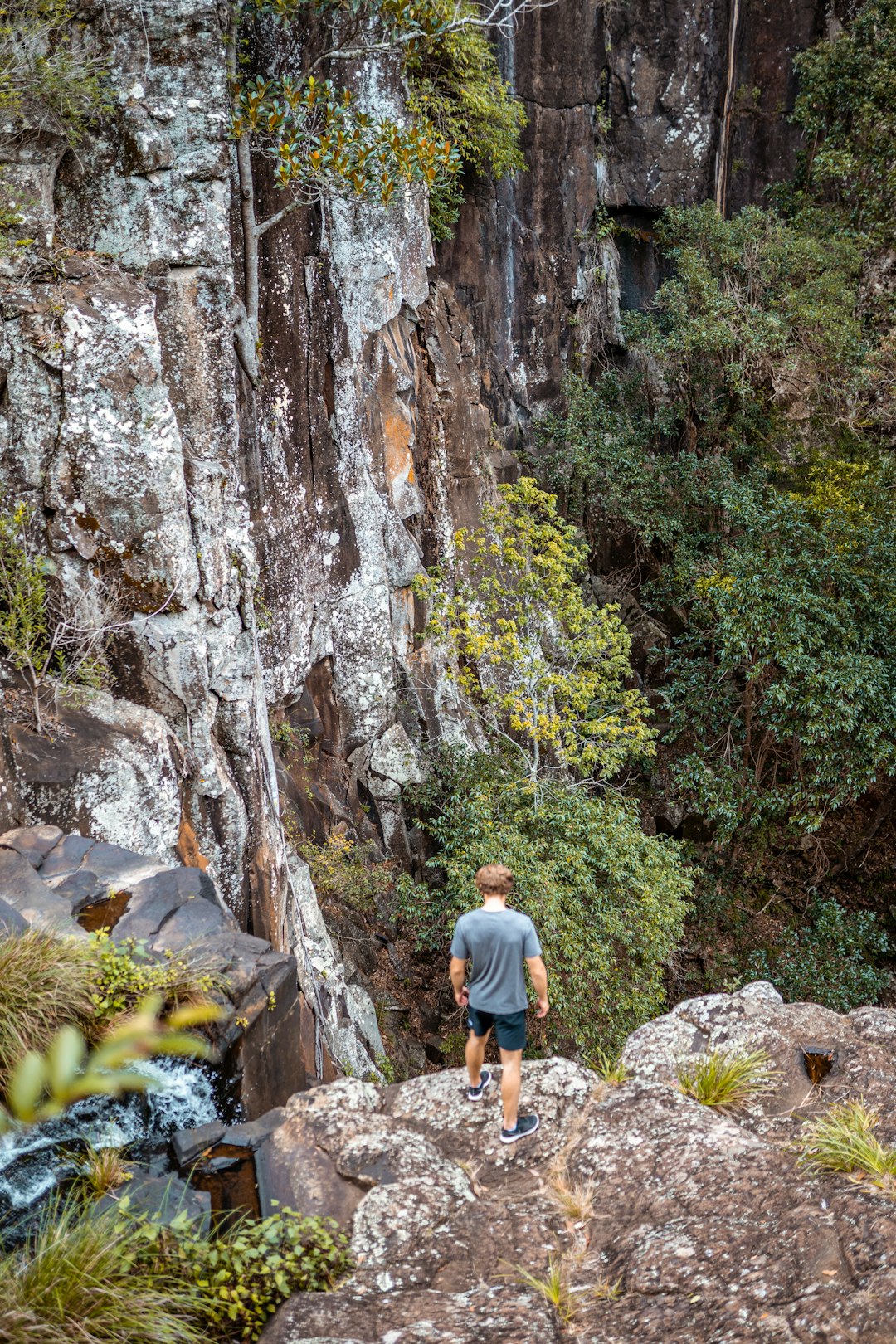 Nature reserve photo spot Gold Coast Morans Falls