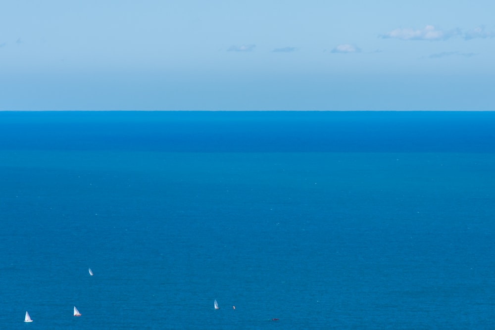 body of water during daytime