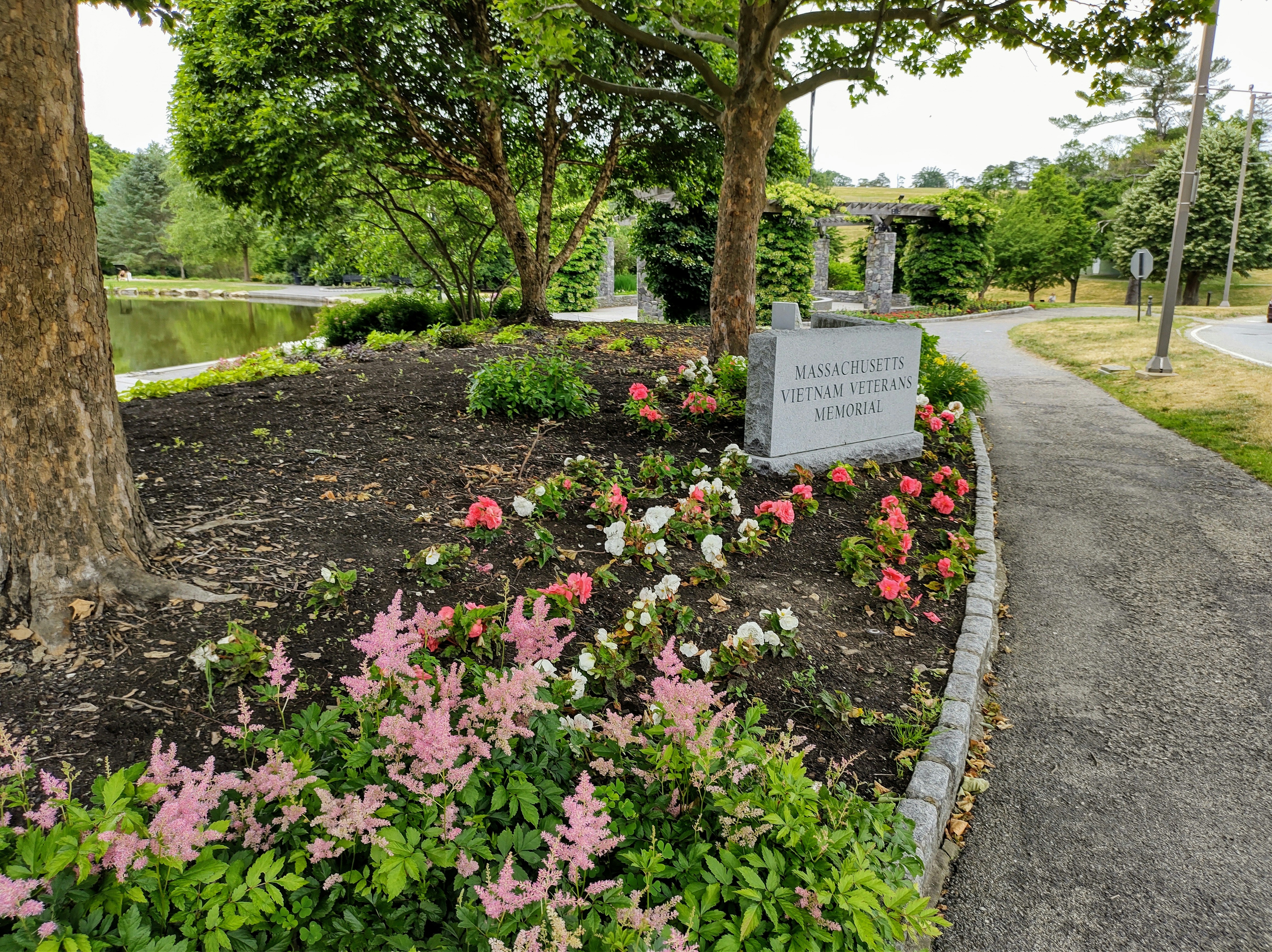 Top 3 Must-Visit Dog Parks to Enjoy with Your Furry Friend in Western Massachusetts This Winter