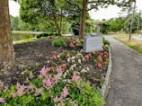 A tranquil park setting with a walkway bordered by neatly arranged flower beds featuring pink, red, and white blooms. A stone marker reads 'Massachusetts Vietnam Veterans Memorial' near a large tree. In the background, there's a pond reflecting the surrounding greenery.