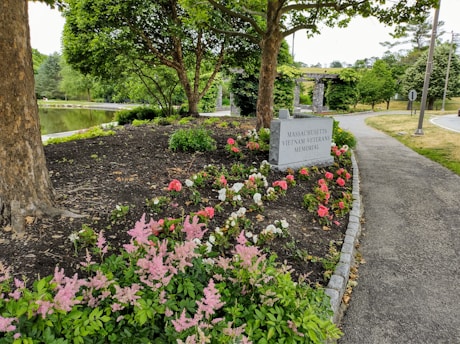 A tranquil park setting with a walkway bordered by neatly arranged flower beds featuring pink, red, and white blooms. A stone marker reads 'Massachusetts Vietnam Veterans Memorial' near a large tree. In the background, there's a pond reflecting the surrounding greenery.