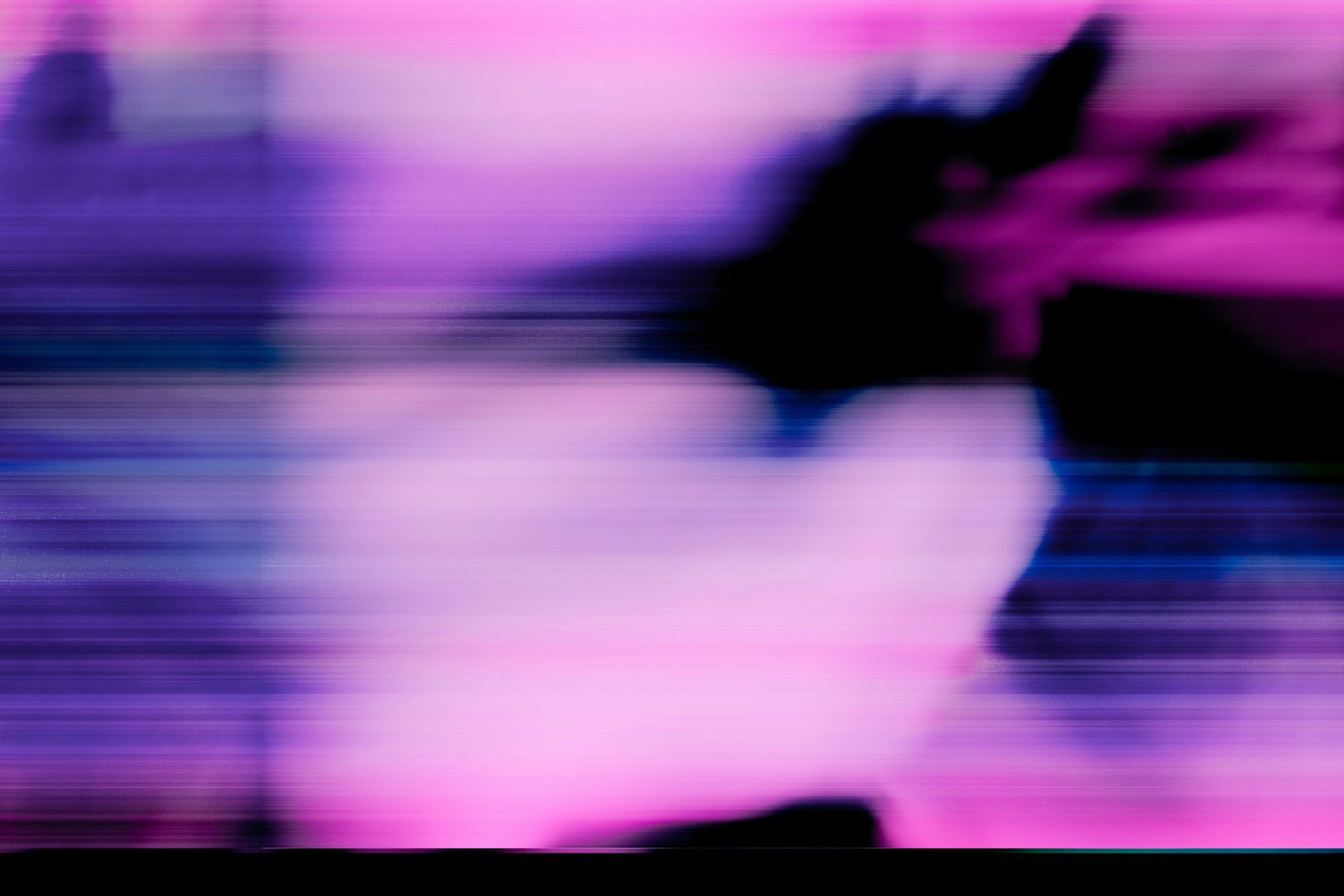 pink white and black textile