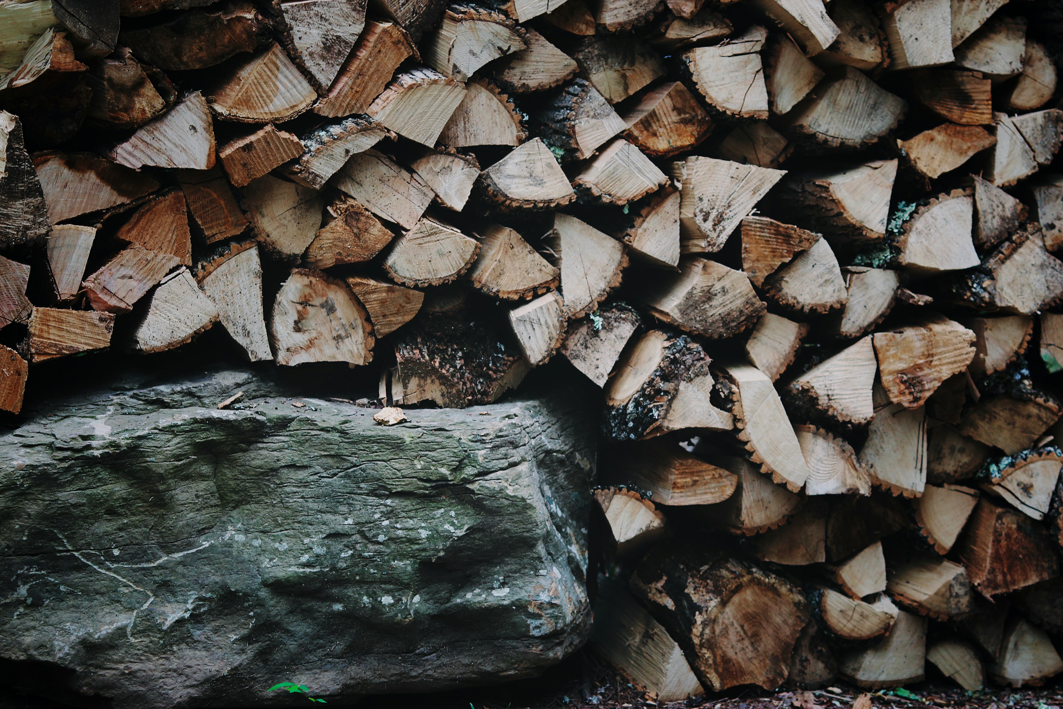 brown and gray wood logs