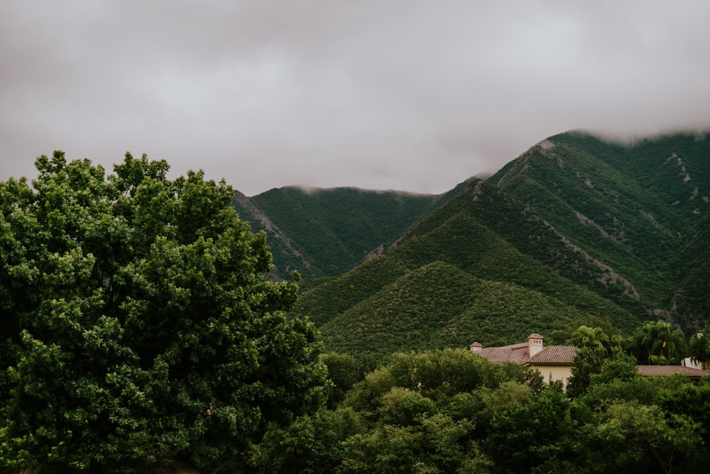 green trees on mountain under cloudy sky during daytime