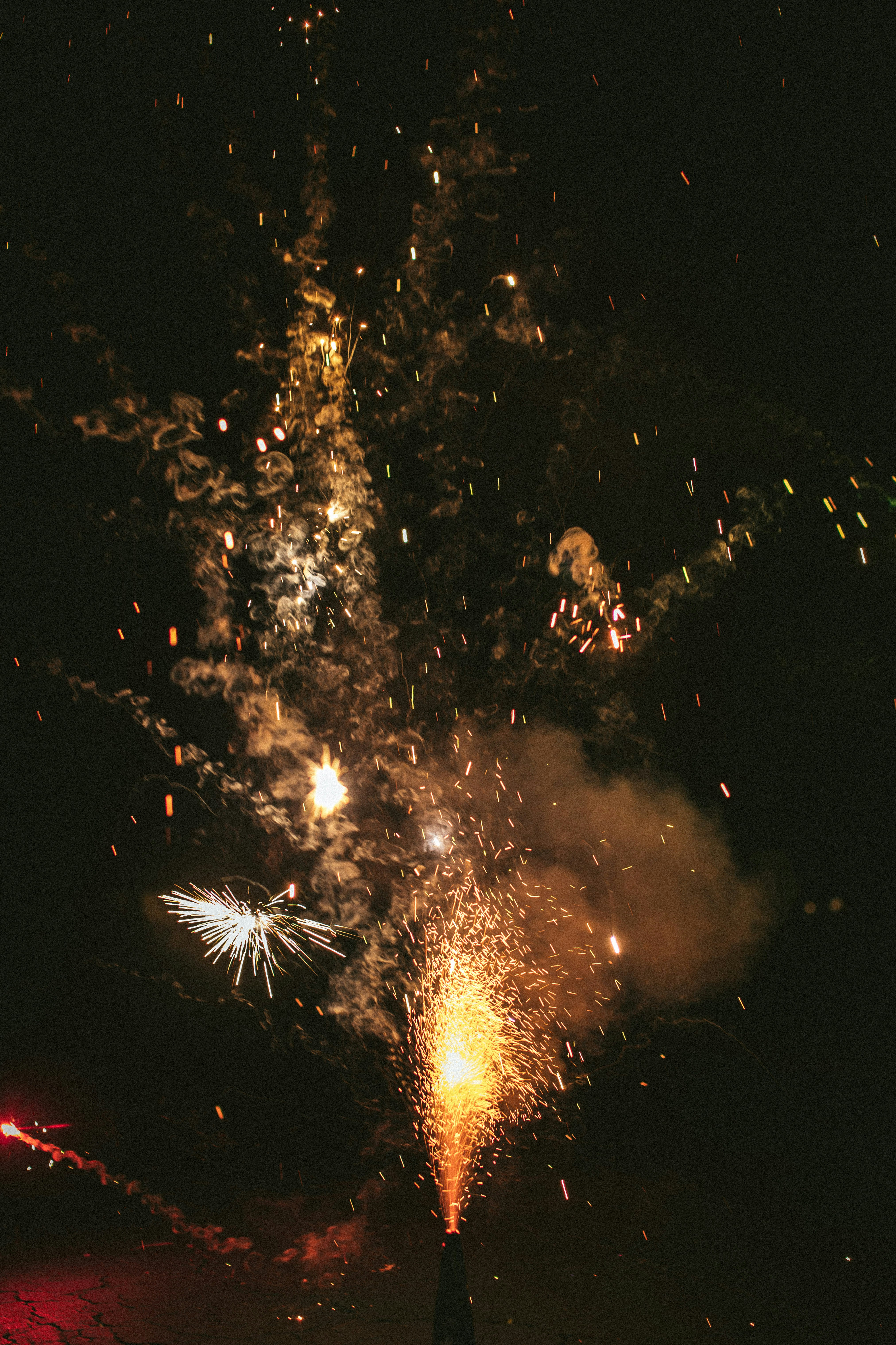 Photo by selenamorar