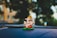 A small statue of Ganesha with a golden headdress and colorful garments sits on a car dashboard. The background is blurred, showing hints of greenery and sunlight.