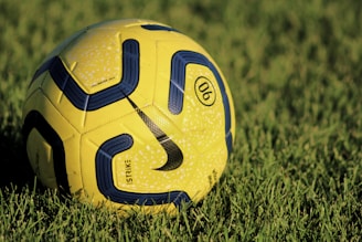 yellow and blue soccer ball on green grass field during daytime