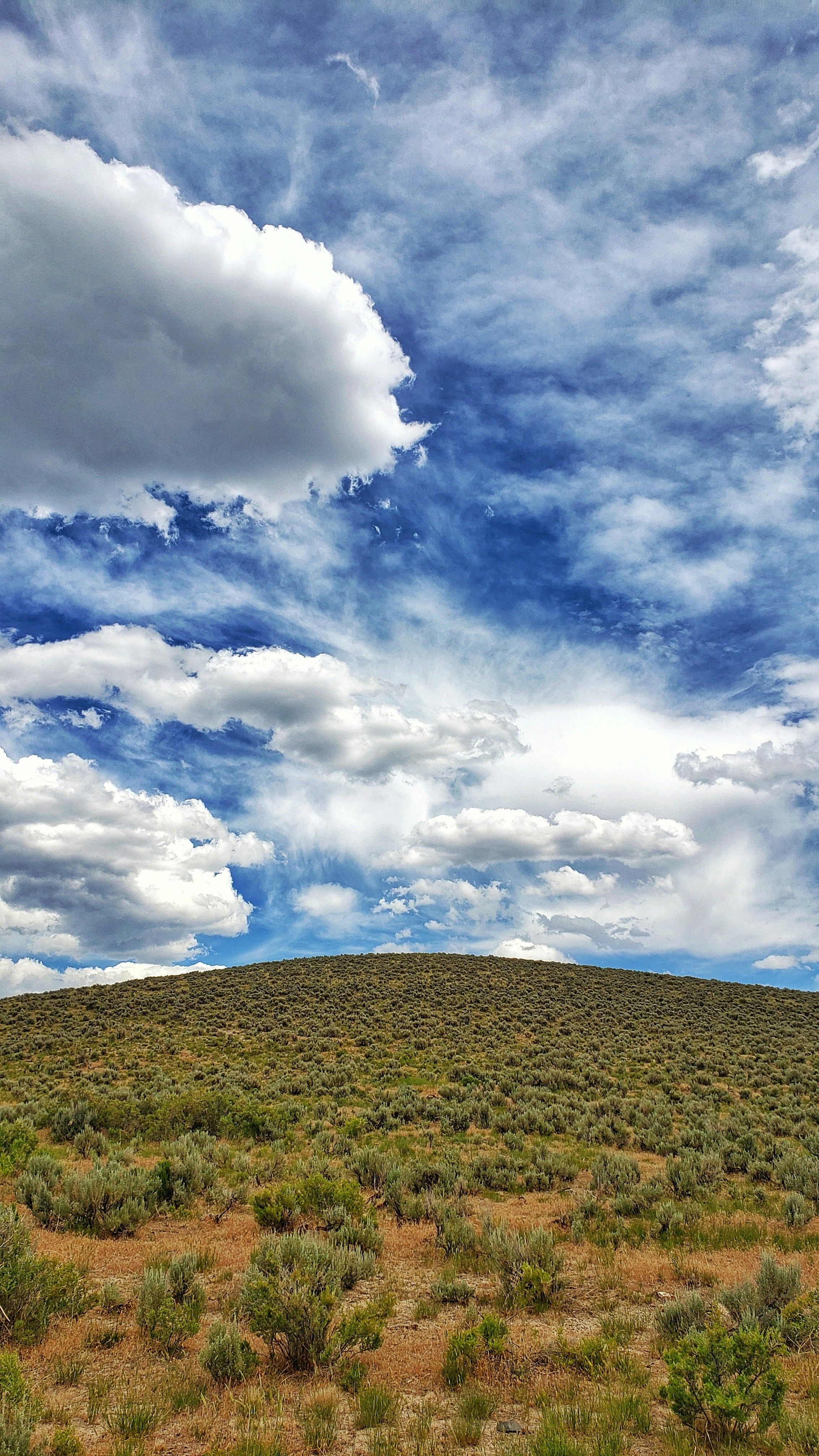 Photo by joshua_hoehne