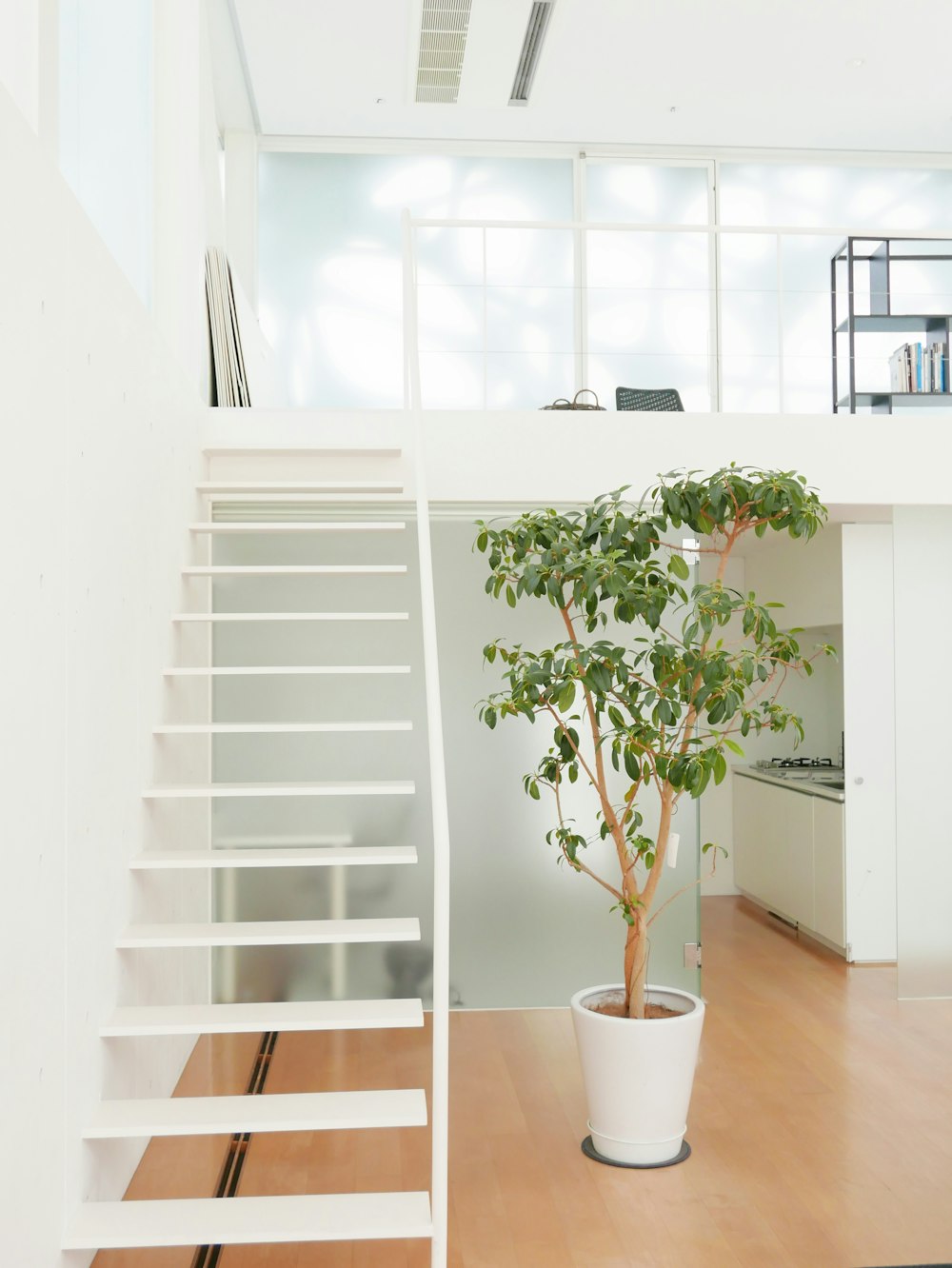 green potted plant on white wooden shelf