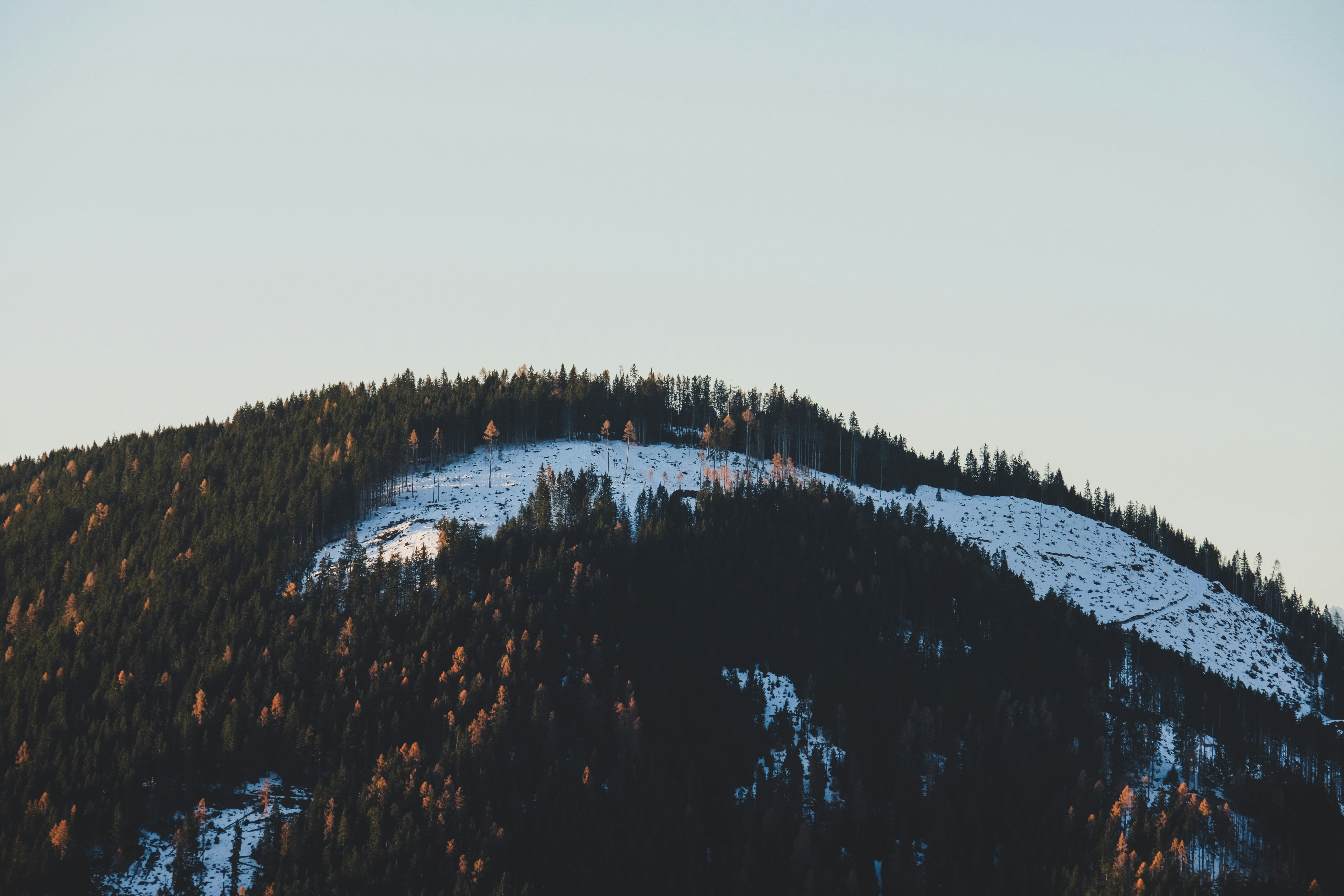 green trees on mountain under white sky during daytime