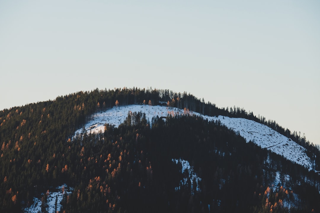 Hill photo spot South Tyrol Sarntal