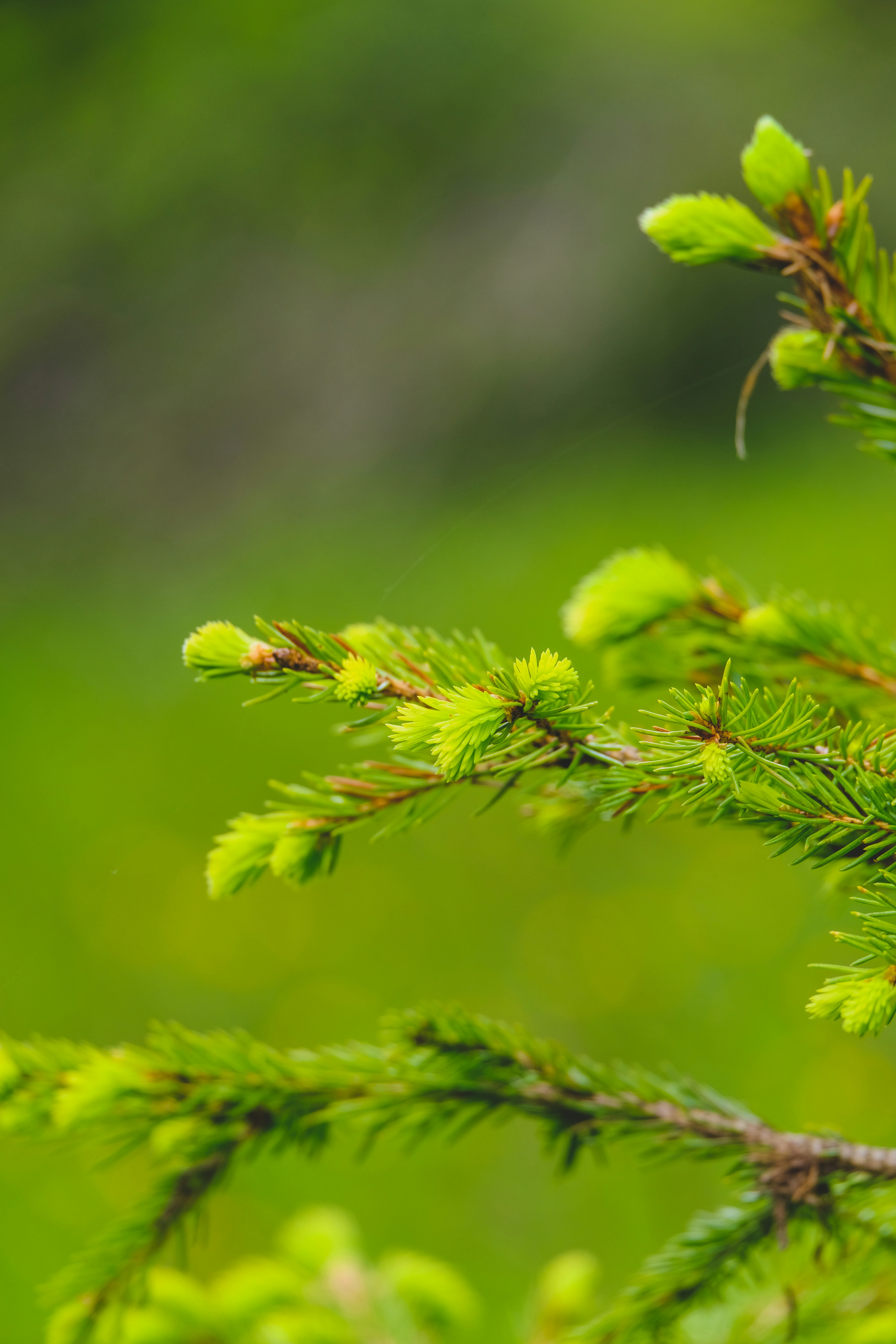 Photo by gretafarnedi