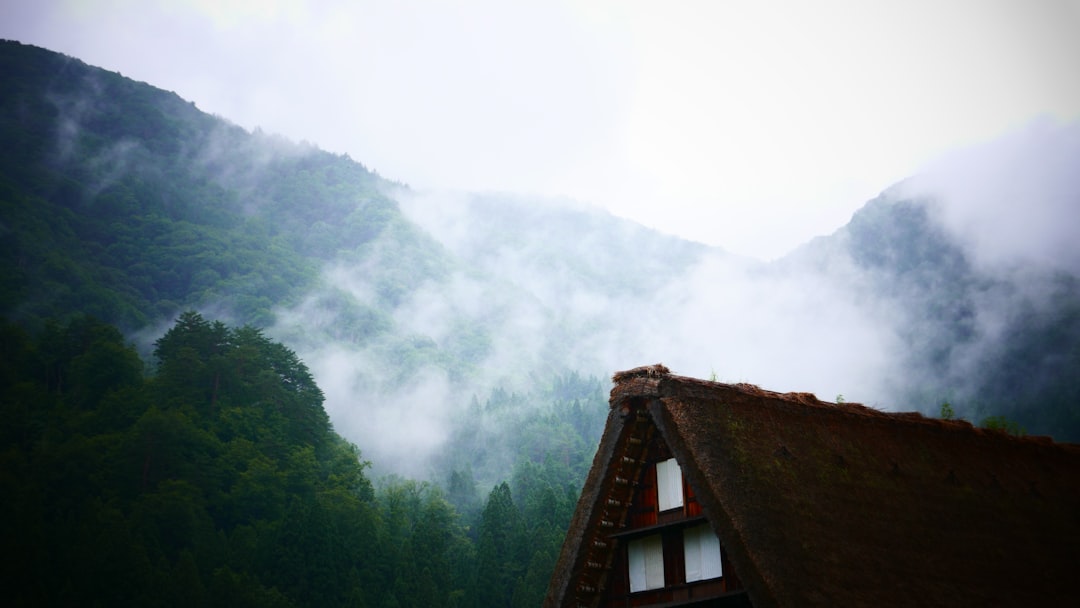 brown wooden house on top of mountain