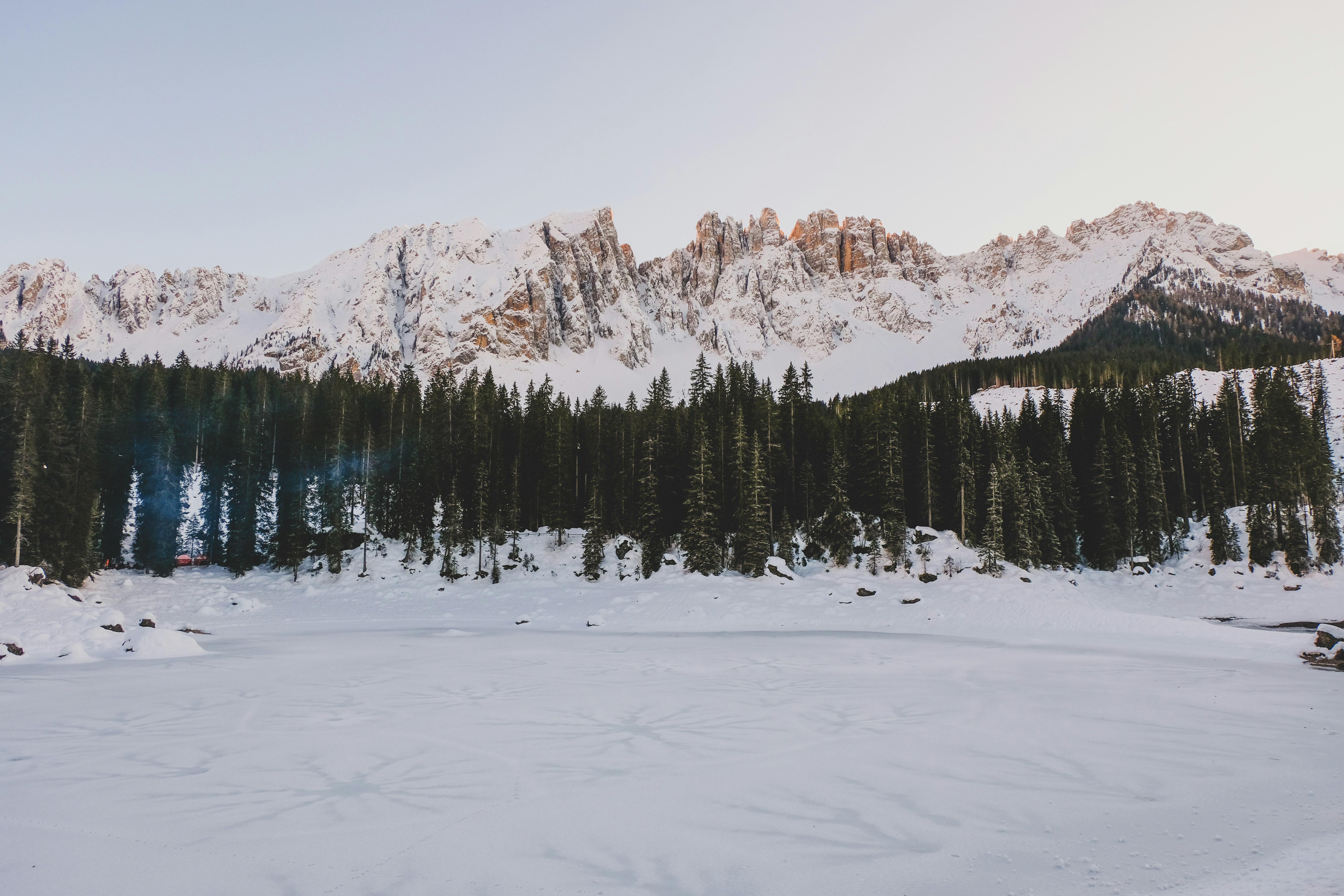green pine trees on snow covered ground during daytime