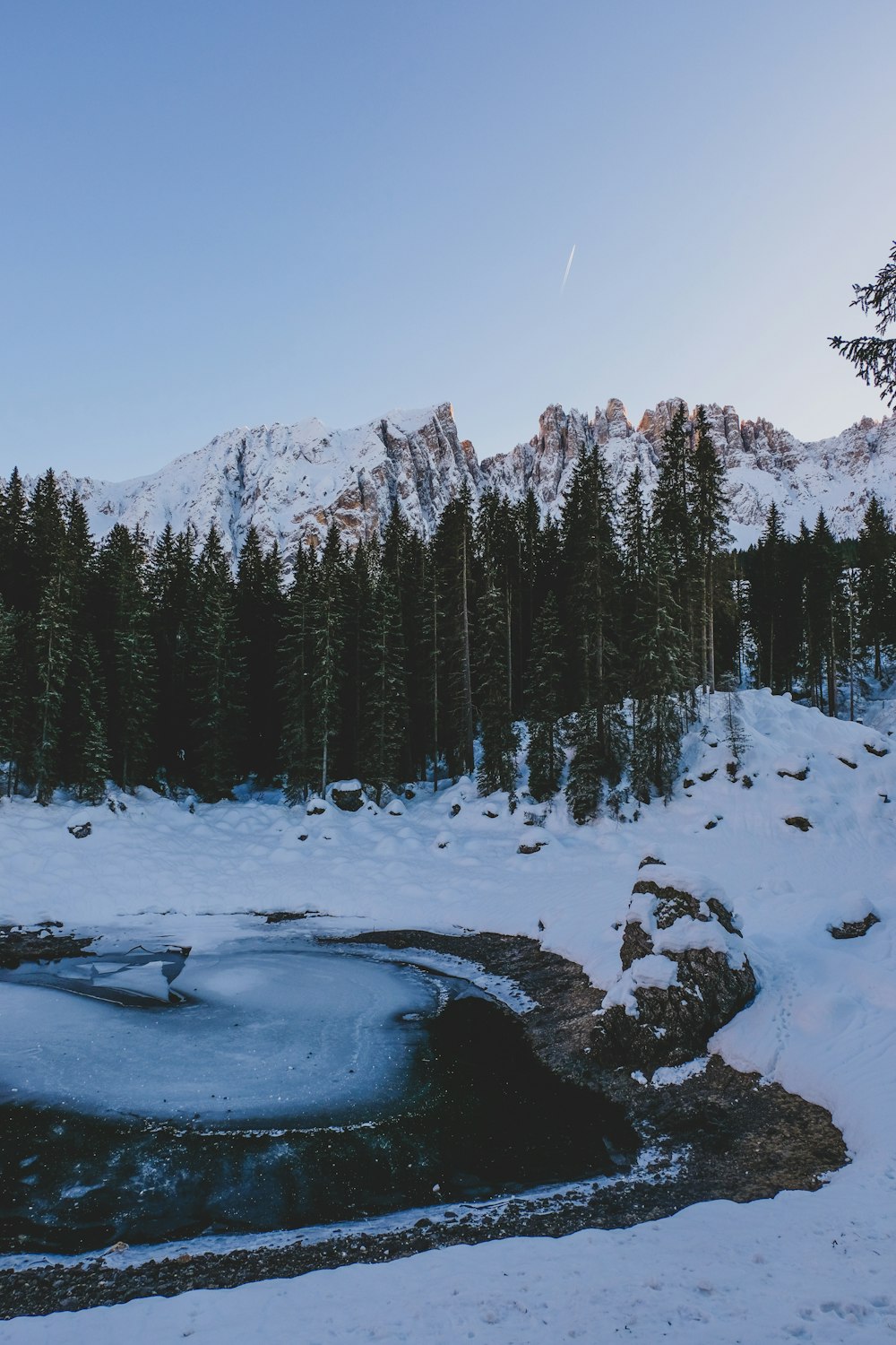 une montagne enneigée avec un lac entouré d’arbres