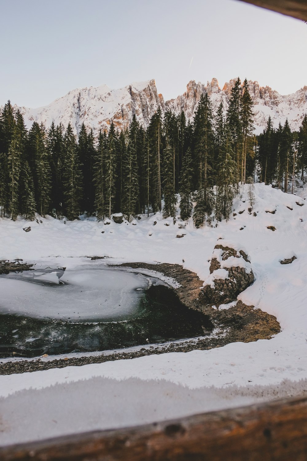 snow covered ground with trees and mountain in distance