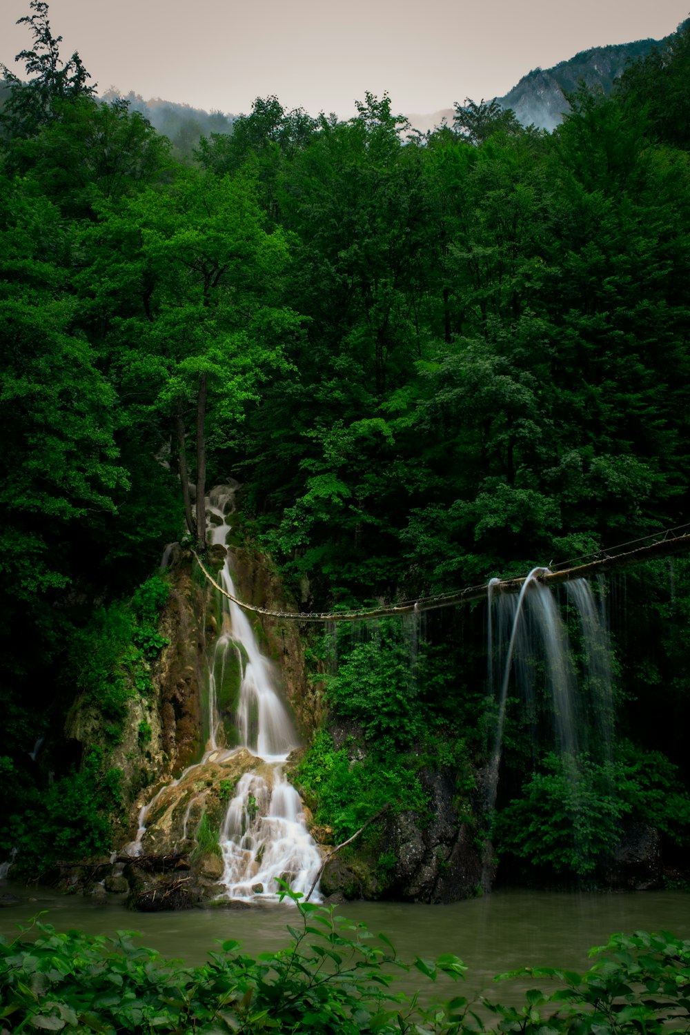 water falls in the forest