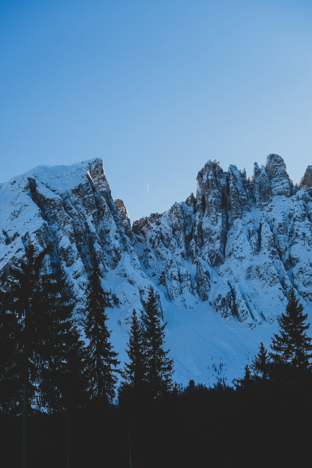 green pine trees near mountain during daytime