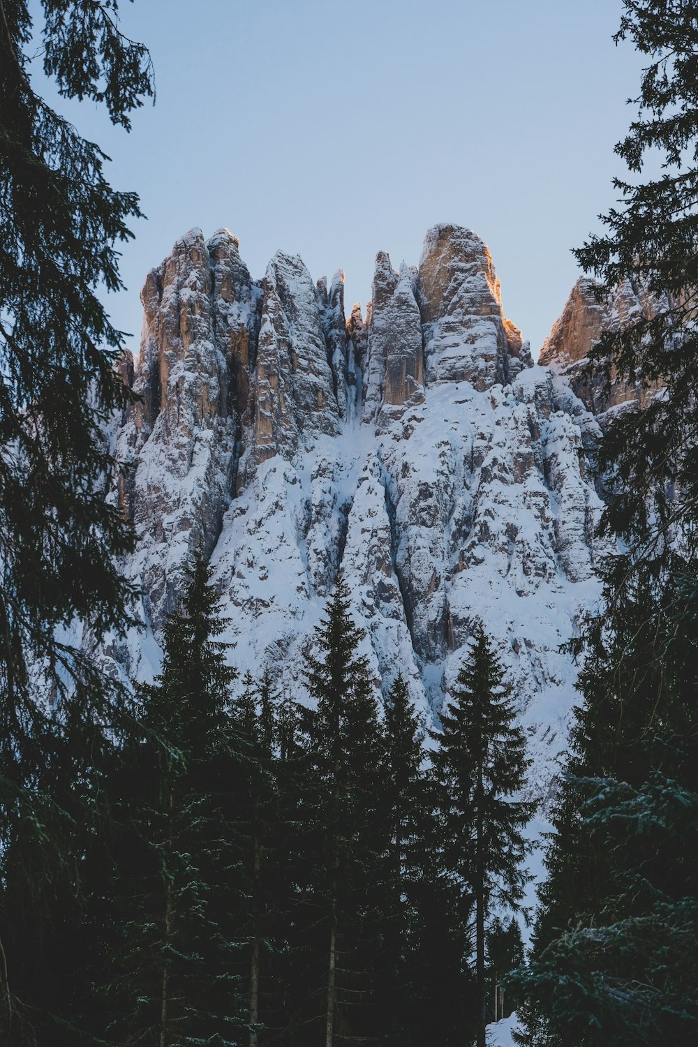 green pine trees near mountain during daytime