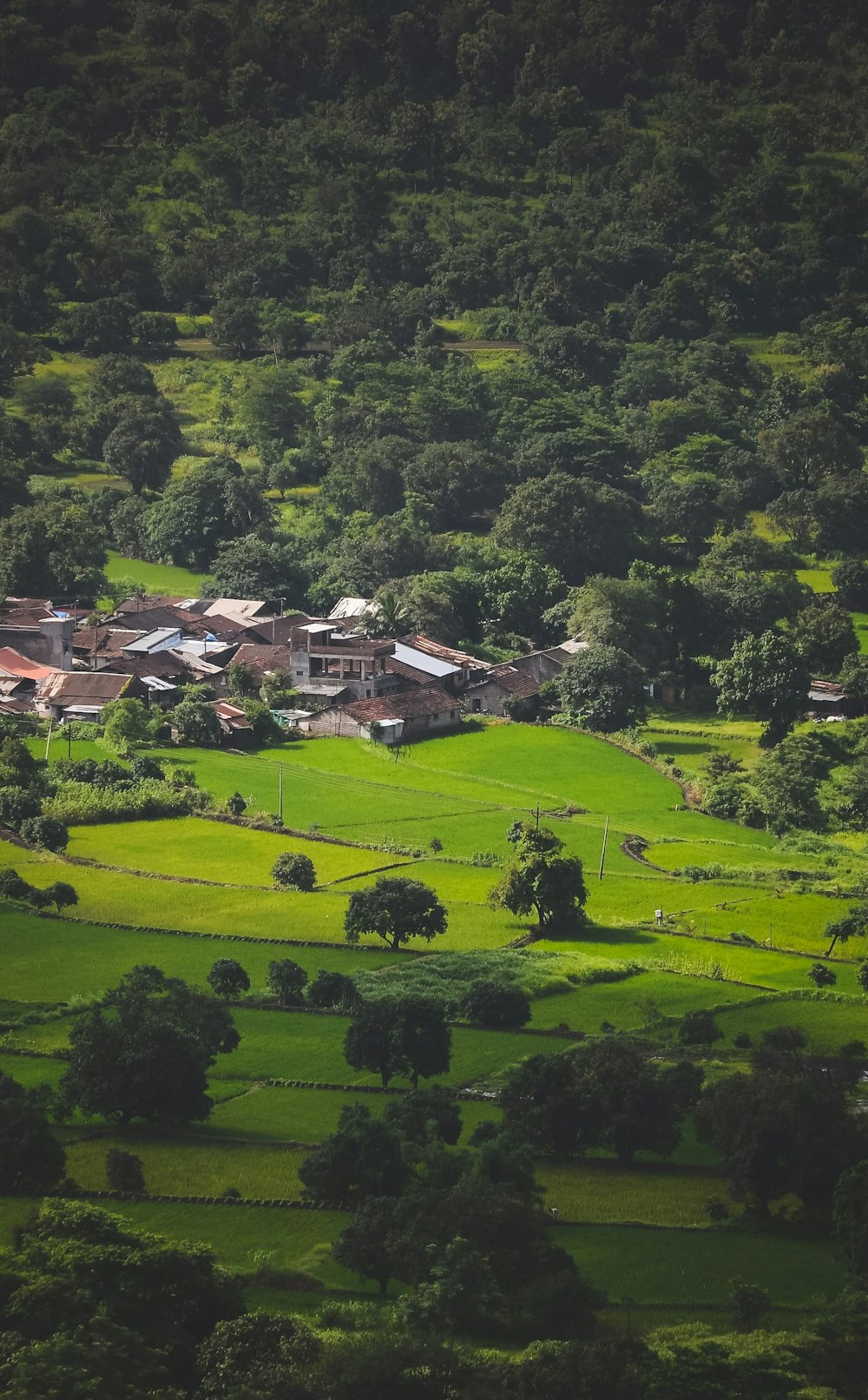 houses on green grass field during daytime