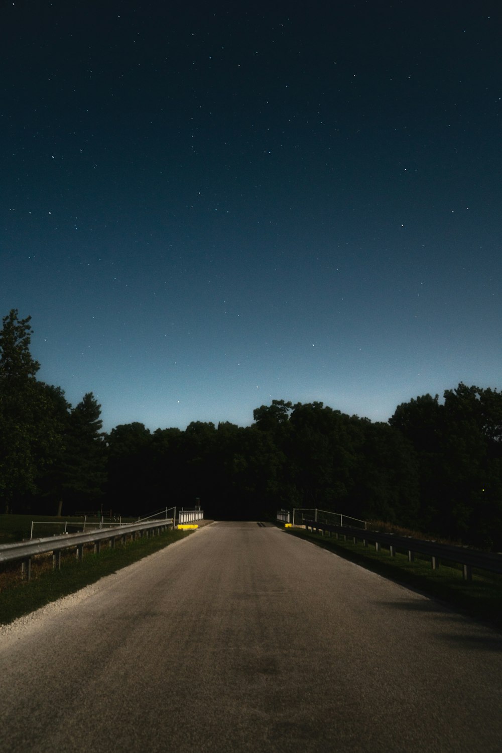 gray concrete road between green trees during night time