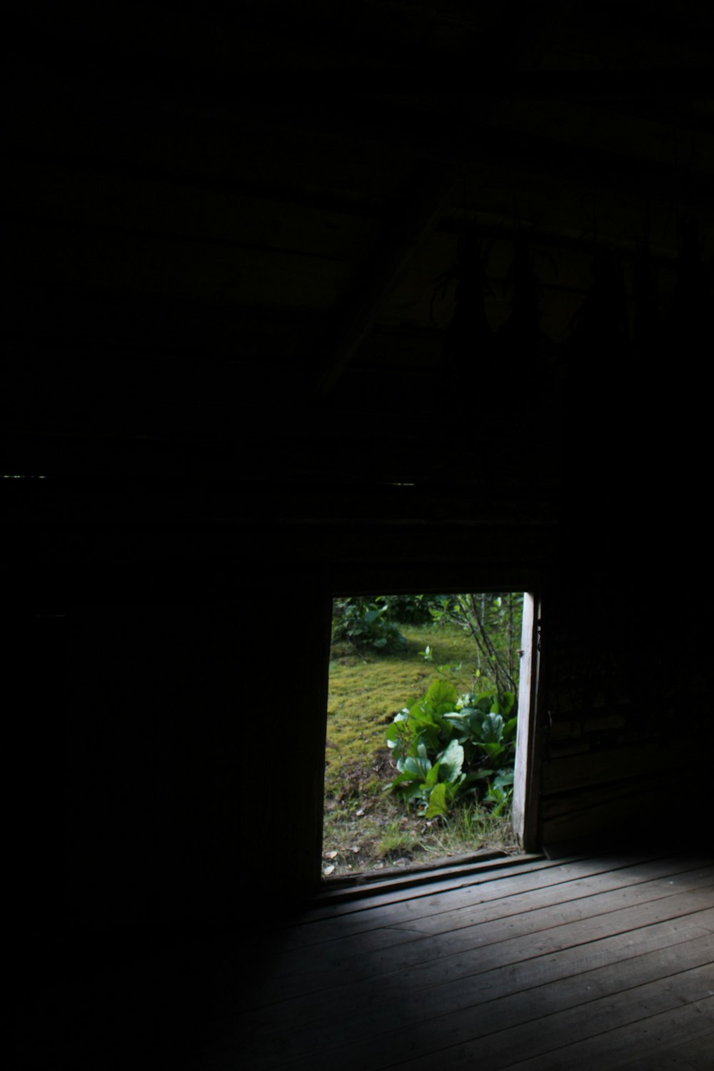 green plant on window during daytime