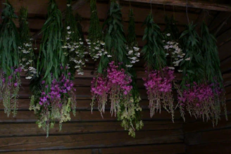 purple flowers on brown wooden fence