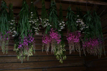 purple flowers on brown wooden fence