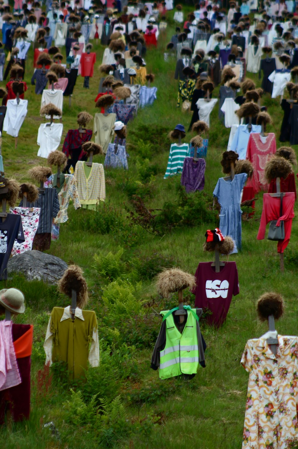 personnes debout sur un champ d’herbe verte pendant la journée