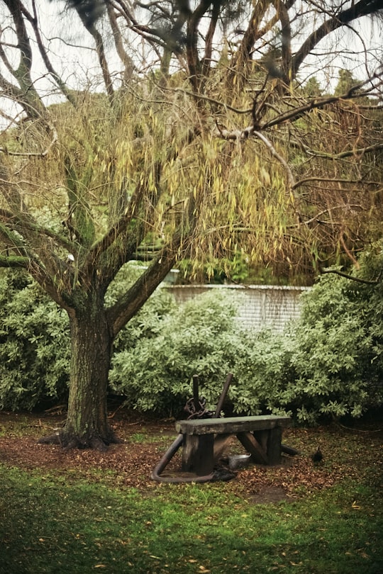 brown wooden bench near body of water during daytime in Geelong VIC Australia