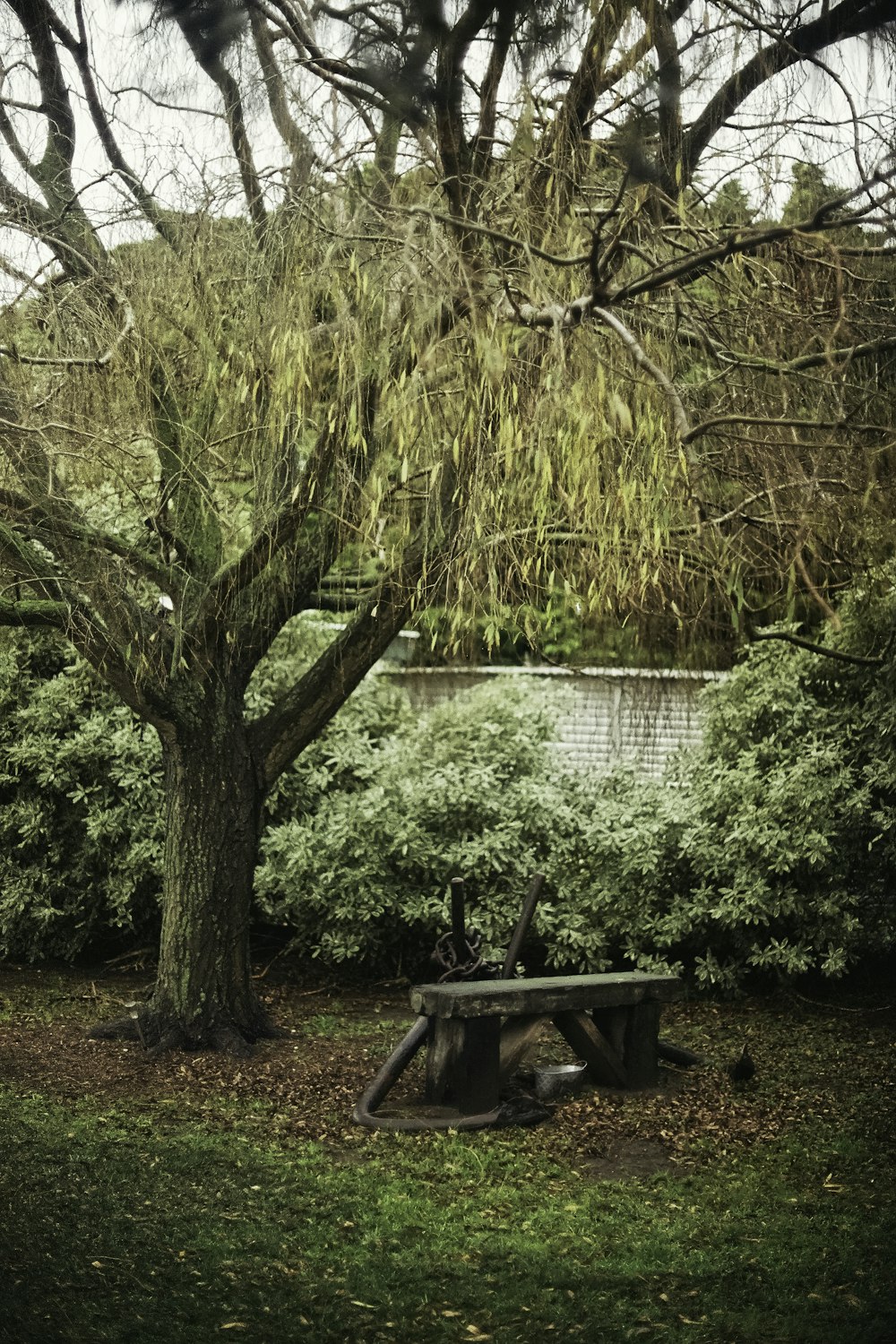 brown wooden bench near body of water during daytime