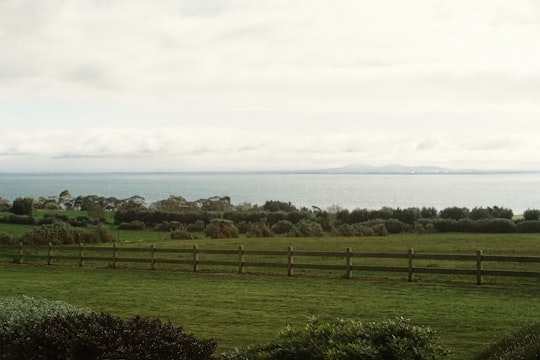 photo of Geelong VIC Plain near Bells Beach