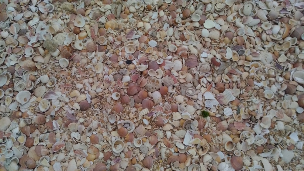 white and brown stone fragments