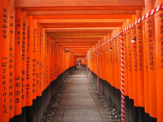 orange and black metal fence in Fushimi Inari Taisha Japan