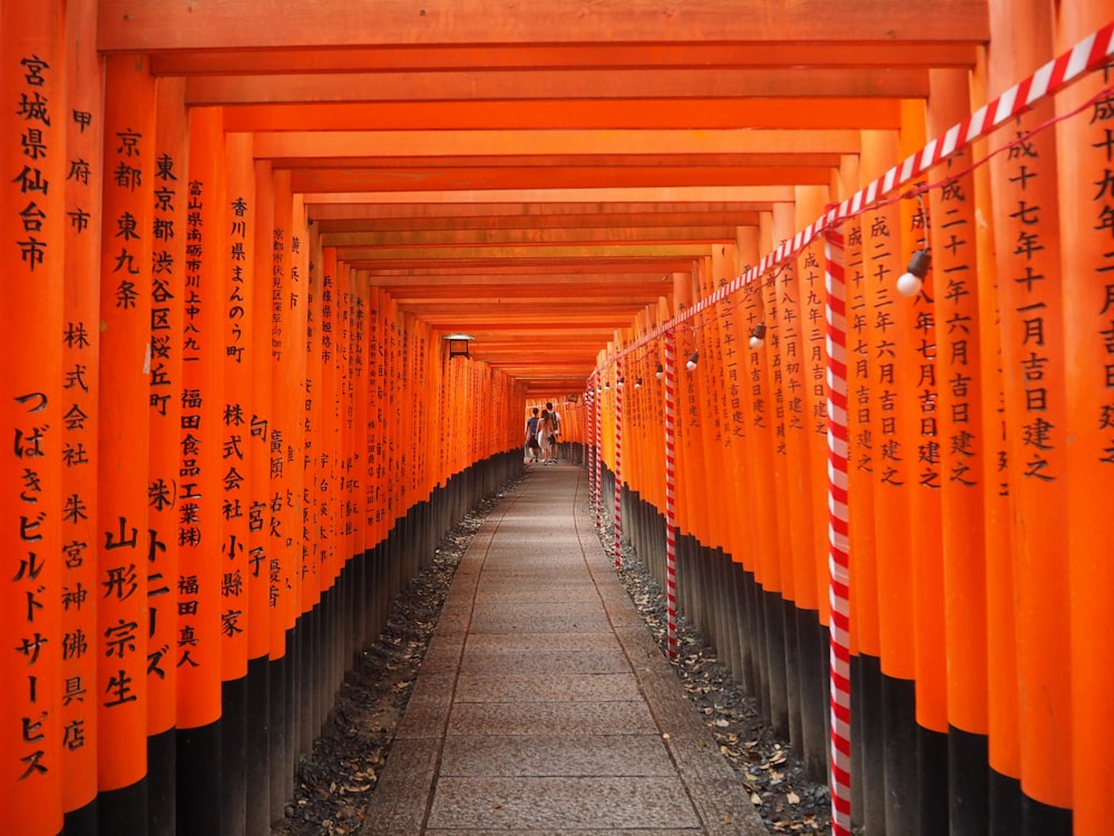 orange and black metal fence