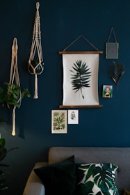 green indoor plant on blue wall
