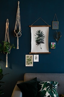green indoor plant on blue wall
