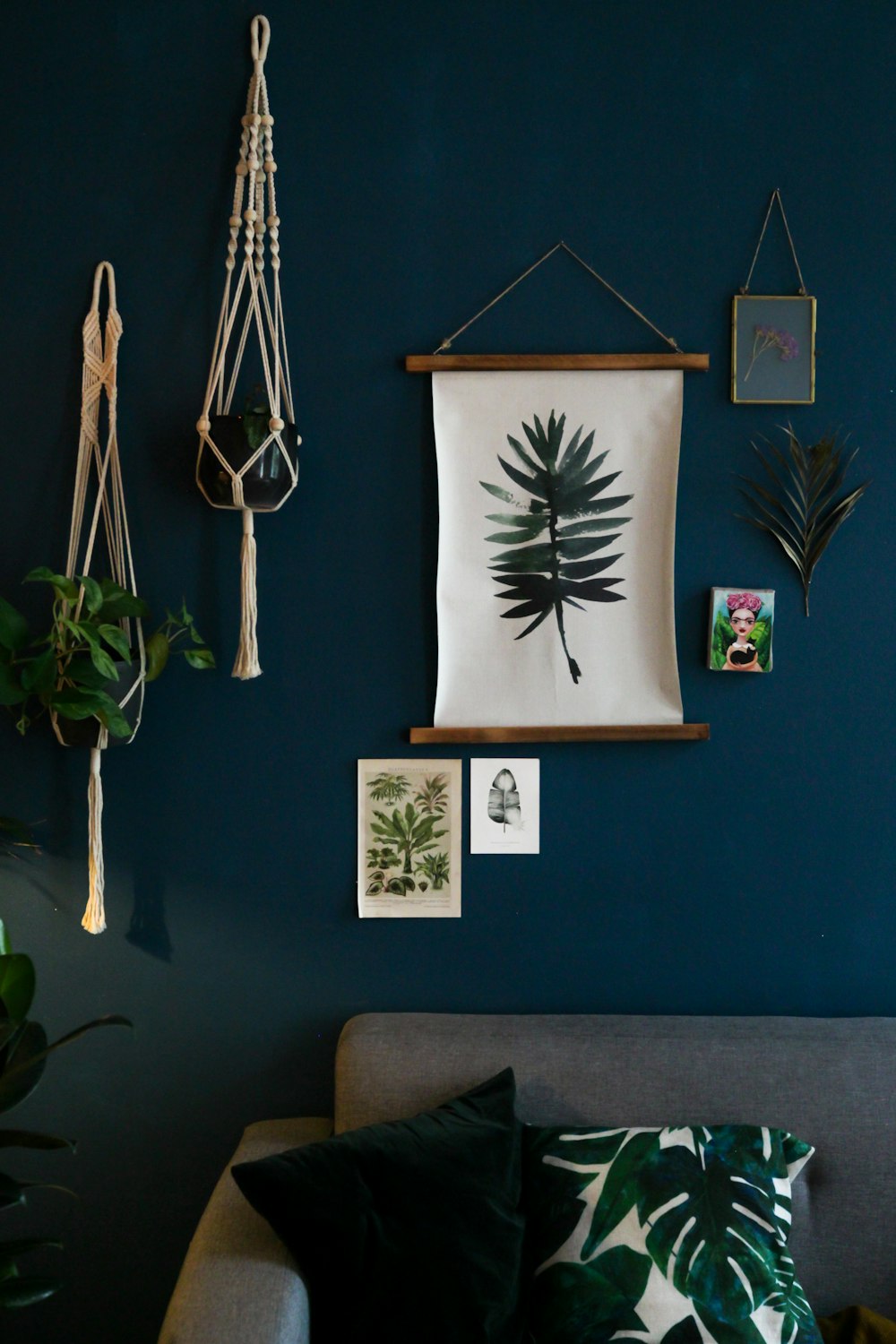 青い壁に緑の屋内植物