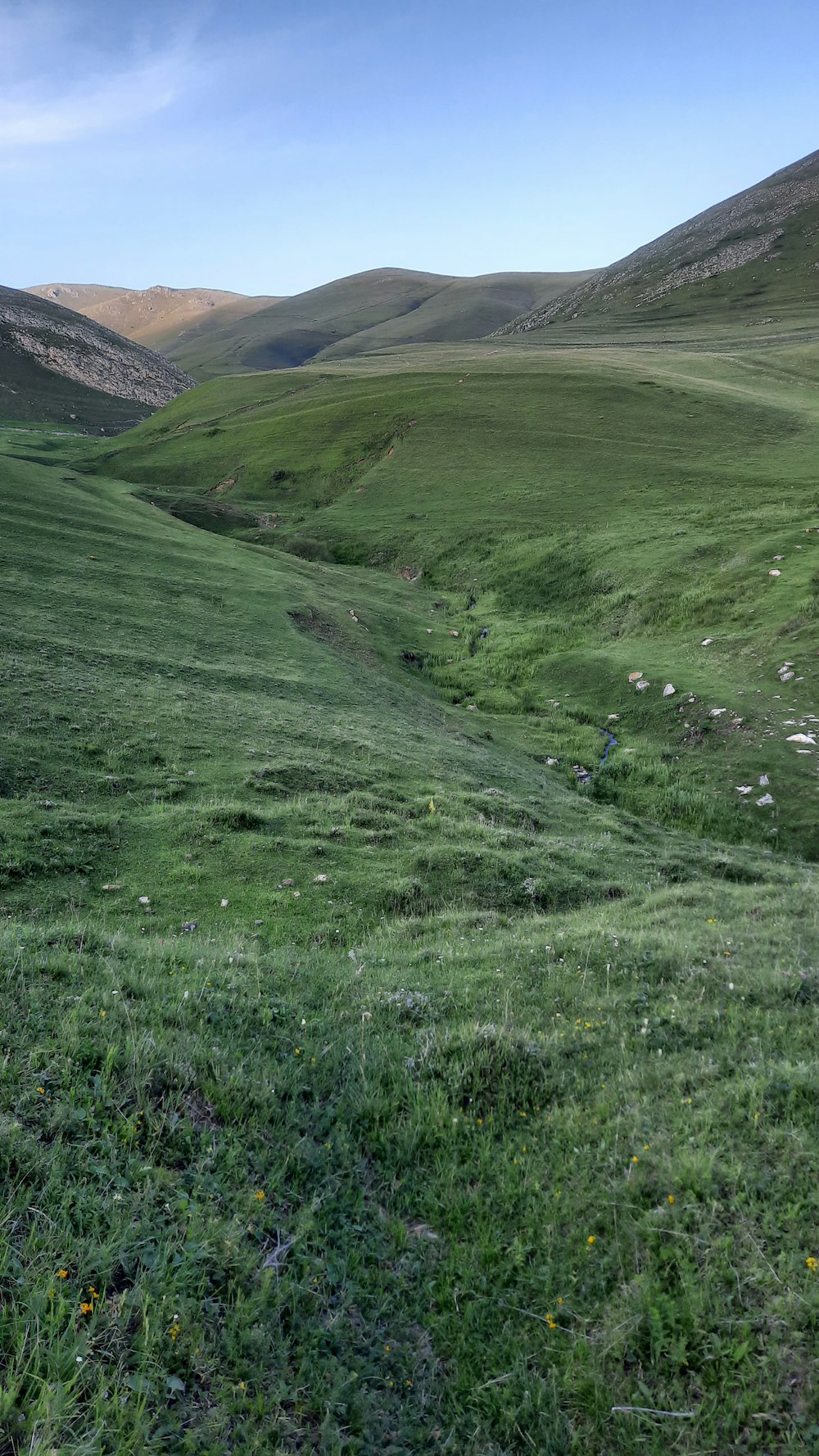 green grass field during daytime